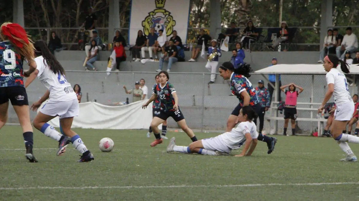 Mineras 2 (1)