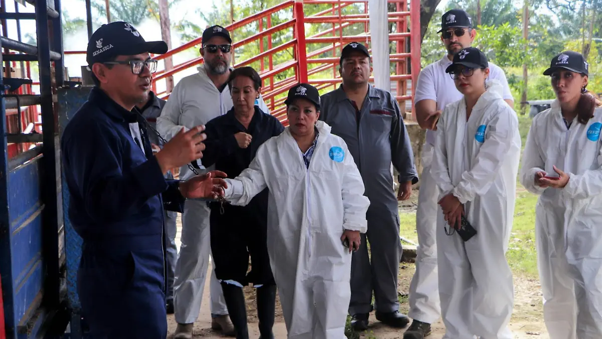Capacitación veterinaria
