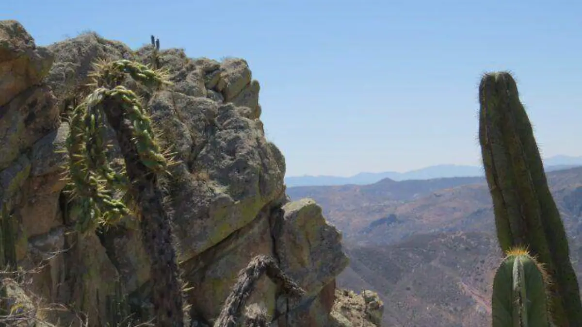 mirador-el-vigilante-hidalgo