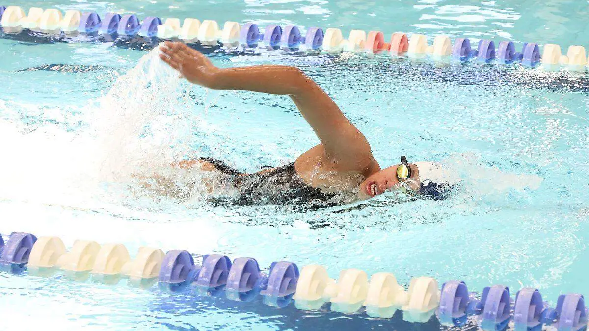 GIMNASIADA