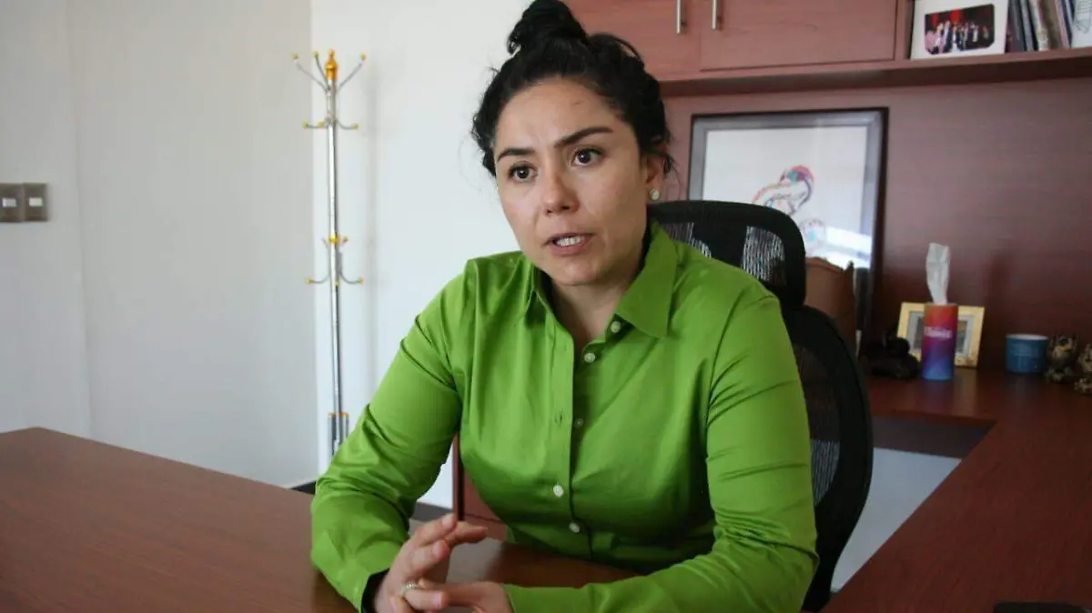SINGUILUCAN DIPUTADA 2