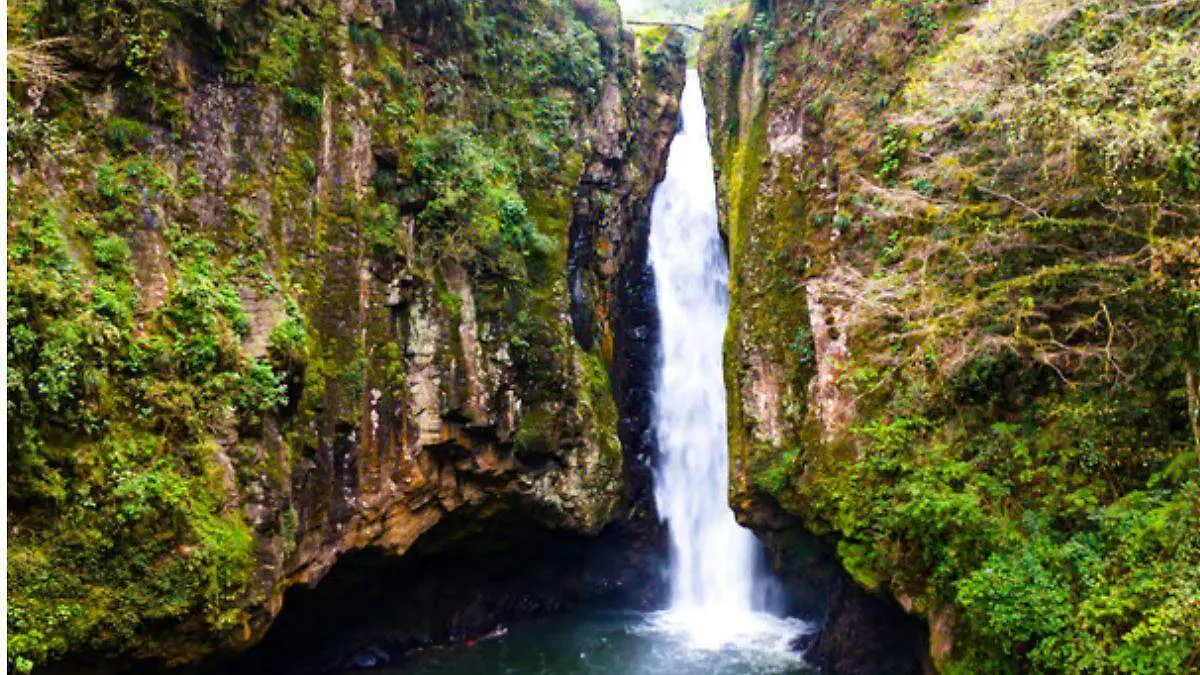 manatiales tonalli 1 
