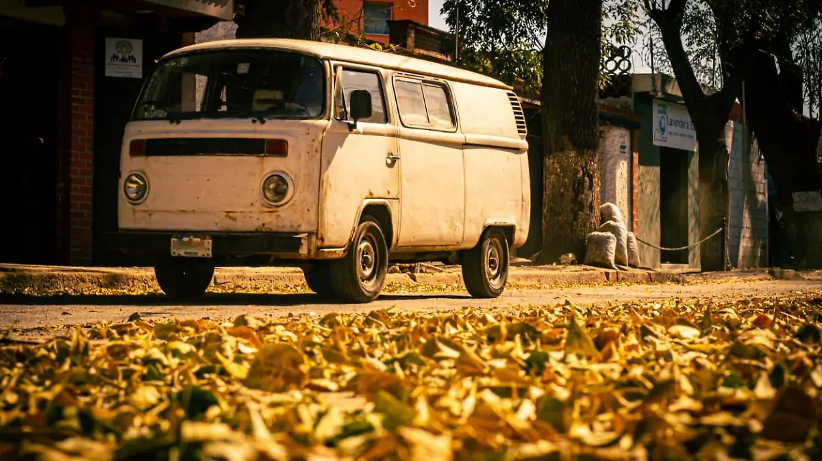 WhatsApp Image 2025-11-19 at 10.42.57 AM