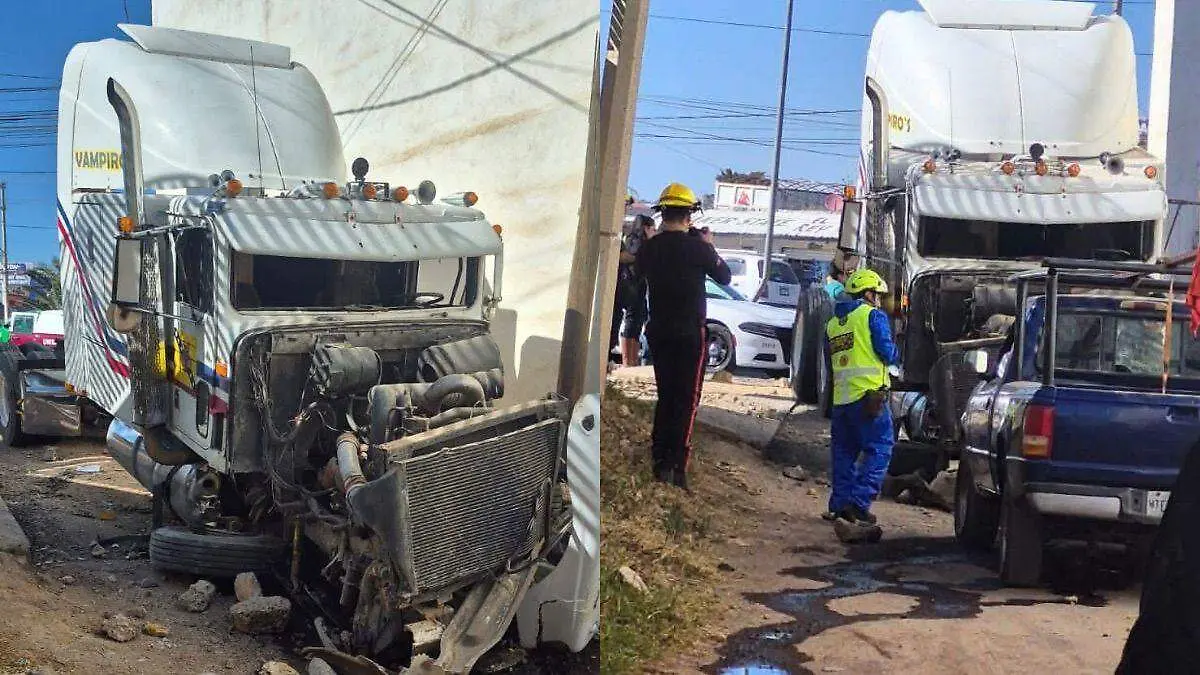 WhatsApp Image 2026-01-07 at 3.56.31 PM