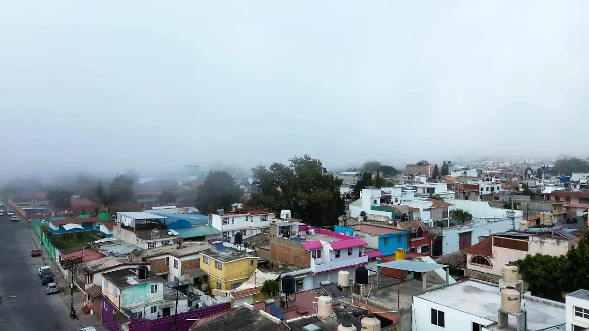 WhatsApp Image 2026-01-13 at 10.41.17 AM