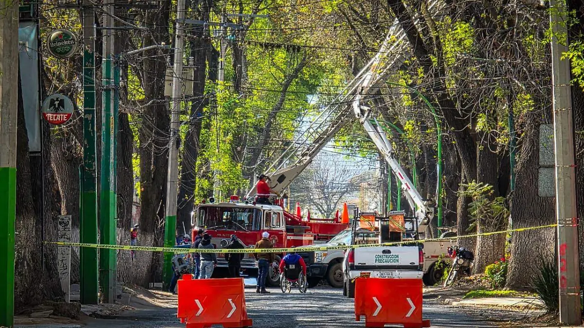 WhatsApp Image 2026-01-14 at 11.01.29 AM