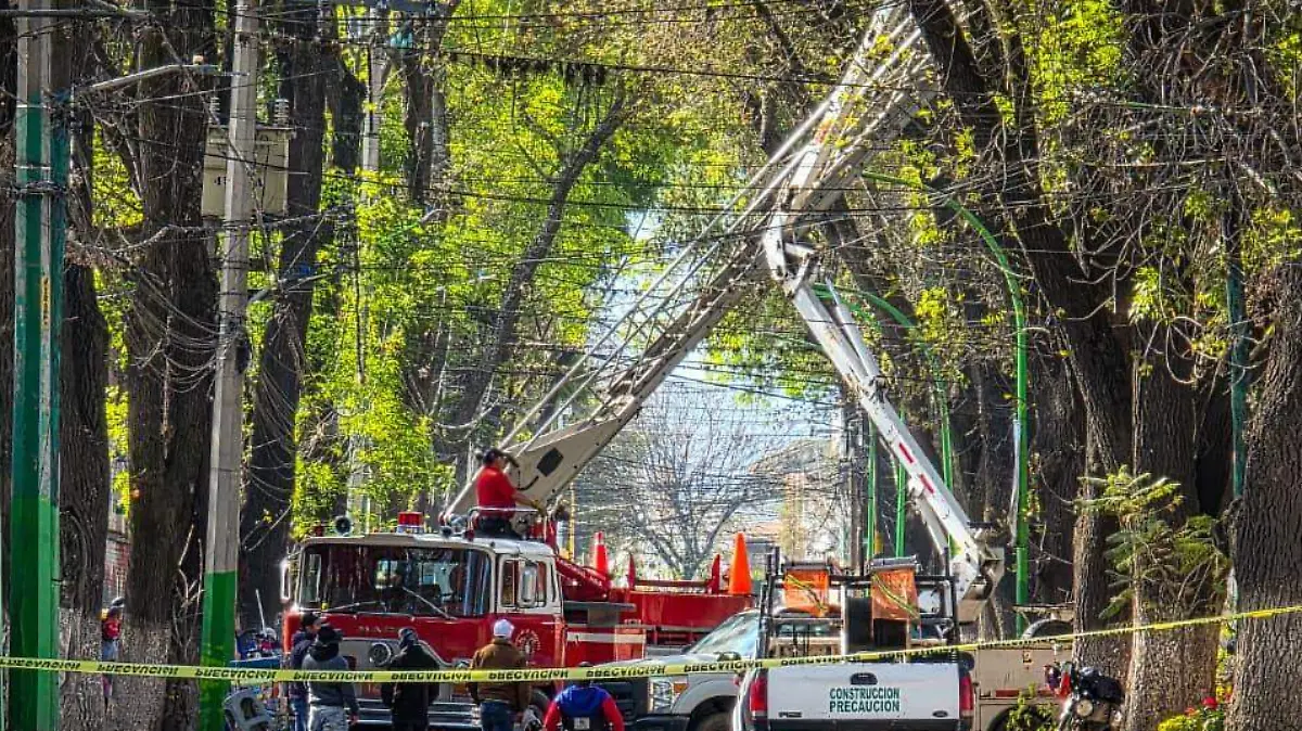 WhatsApp Image 2026-01-14 at 11.01.29 AM