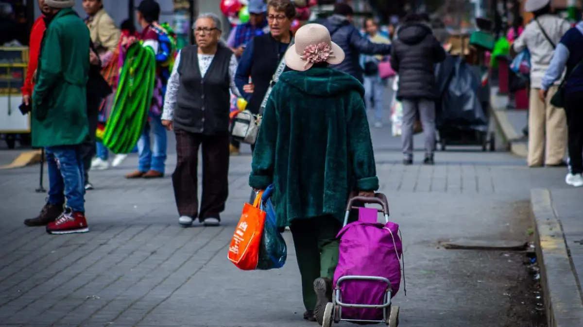 WhatsApp Image 2026-01-15 at 12.30.19 PM