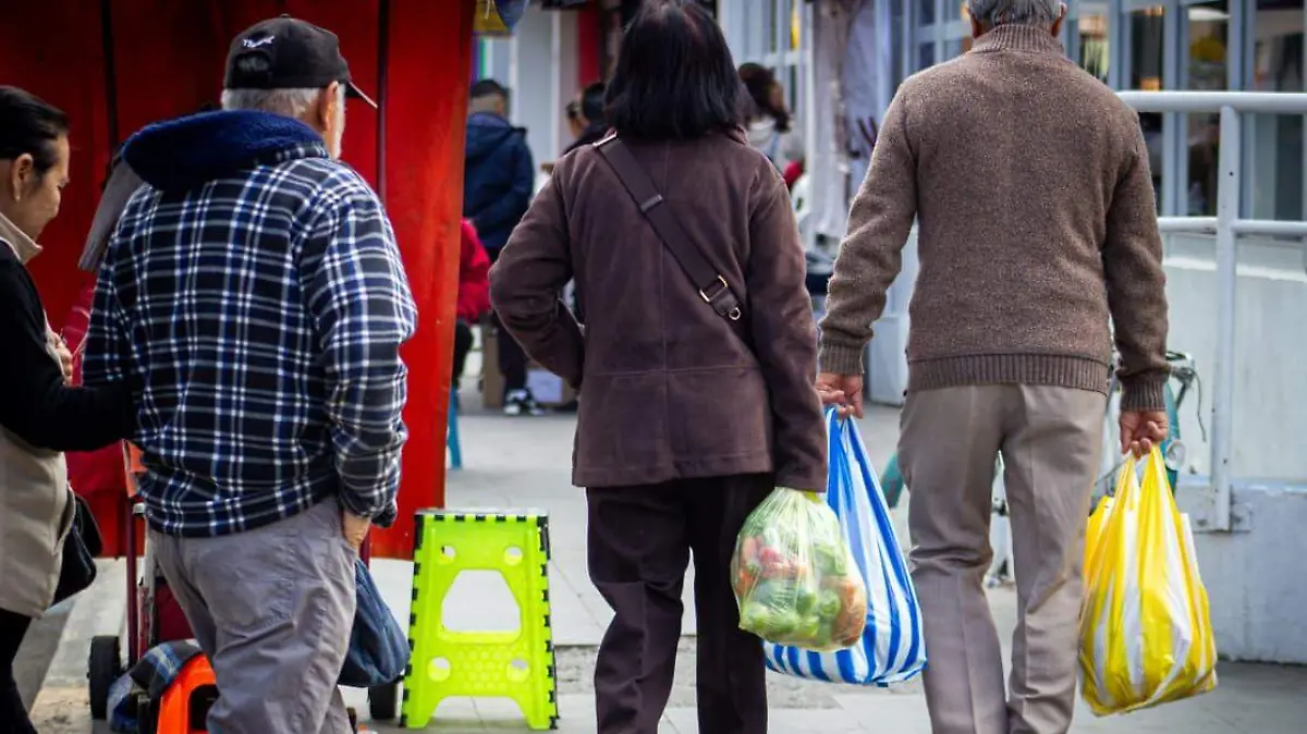 WhatsApp Image 2026-01-15 at 12.30.15 PM