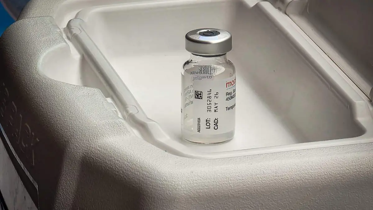 WhatsApp Image 2026-01-13 at 12.49.07 PM