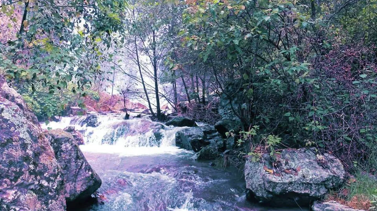 467643979_1476141249722245_104537393482880484_n