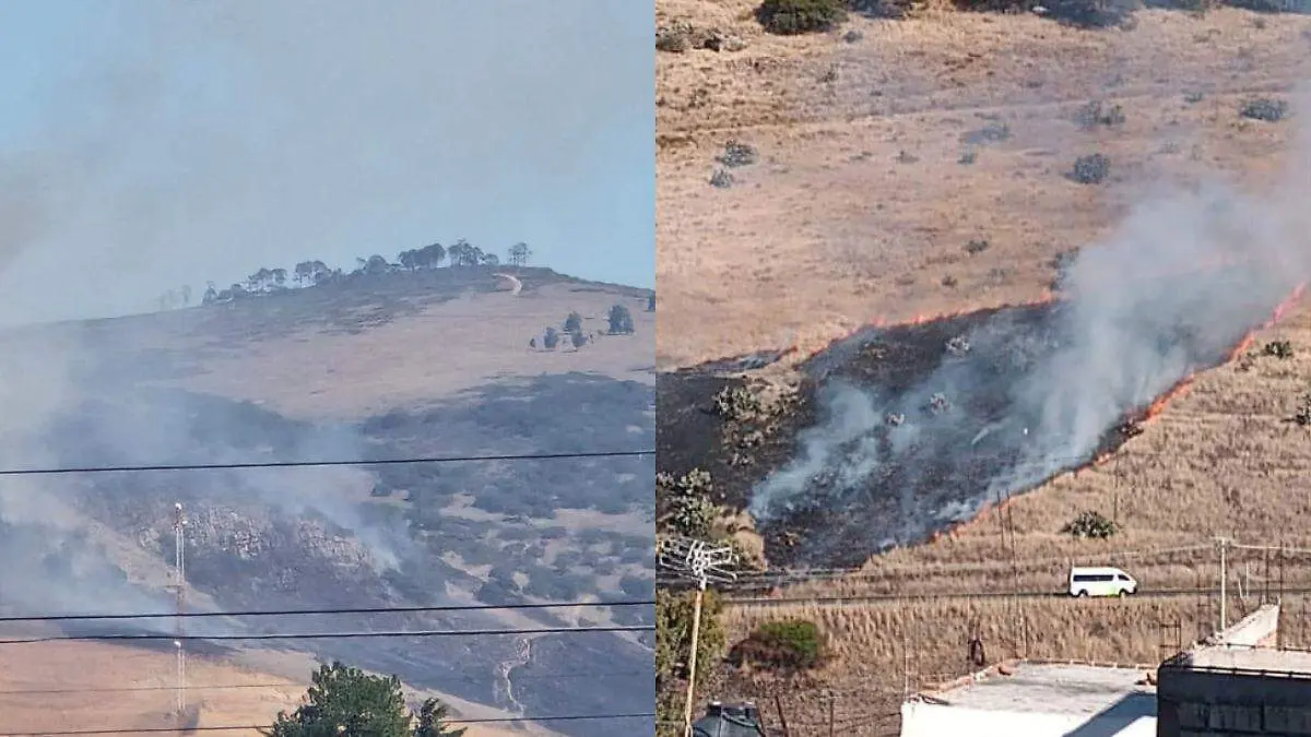 WhatsApp Image 2026-02-08 at 12.44.06 PM