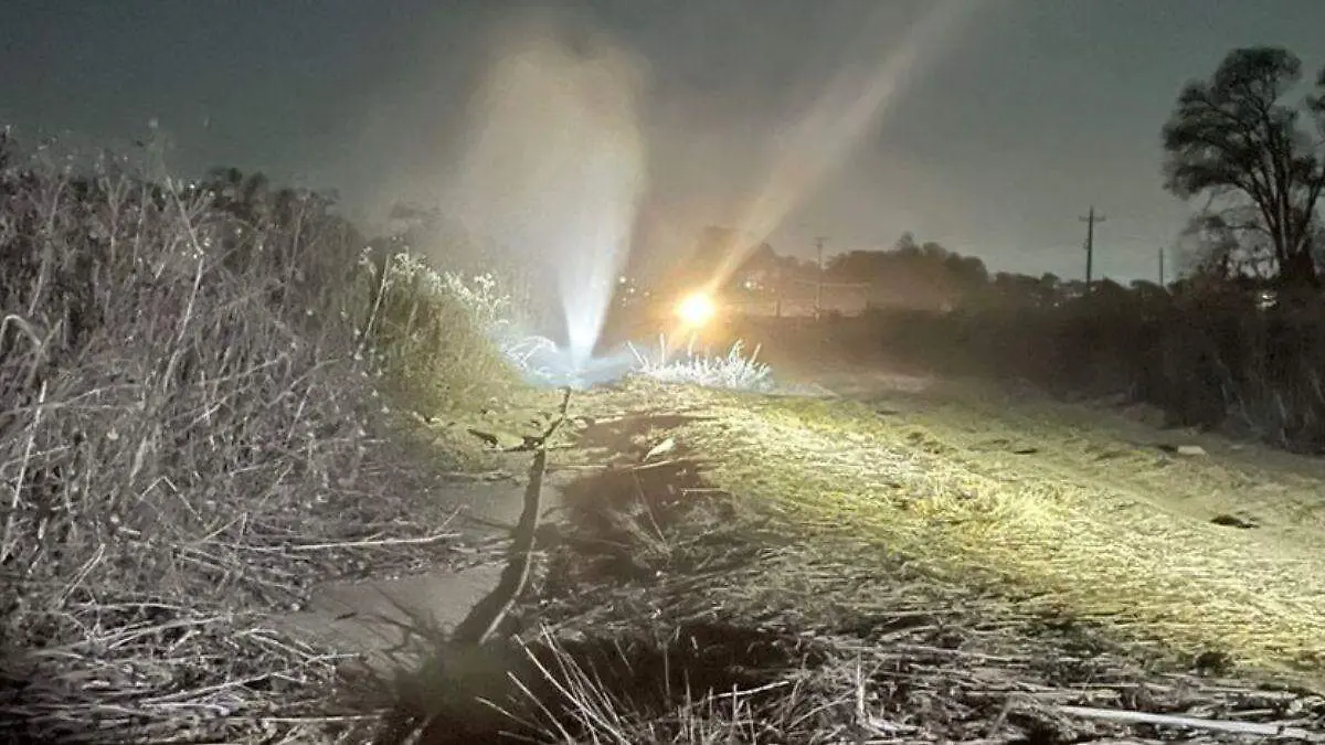 Diseño sin título