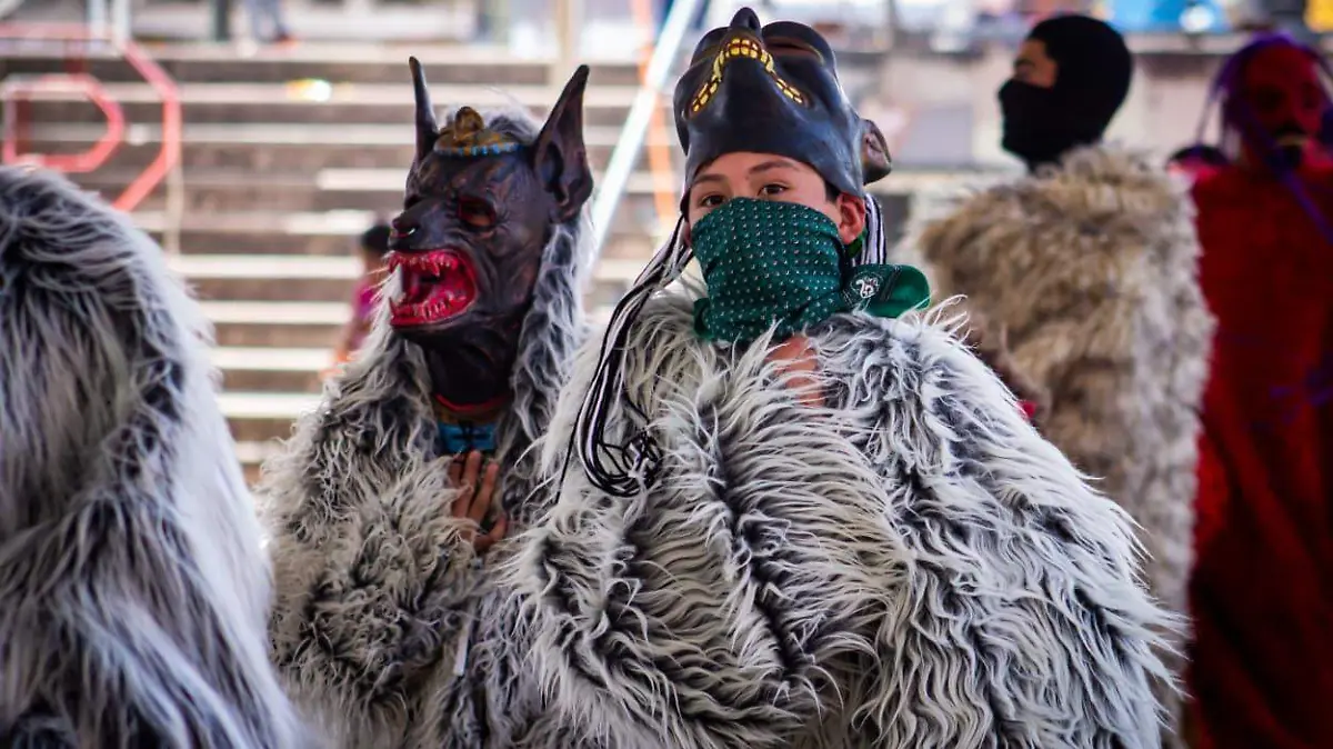 WhatsApp Image 2026-02-14 at 6.53.45 PM