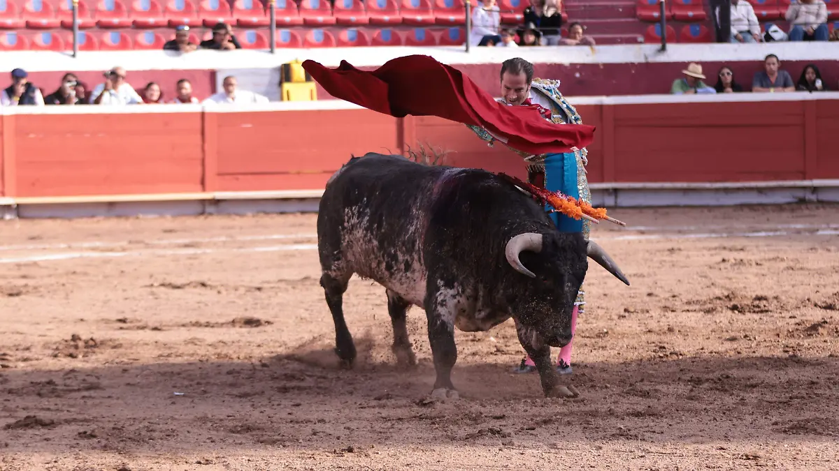 Toros 1