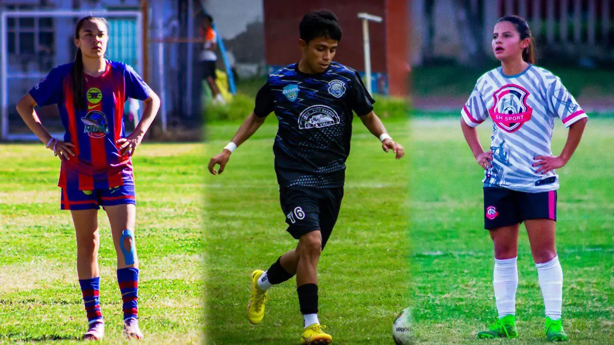 InShot_20260220_170225786 (1)