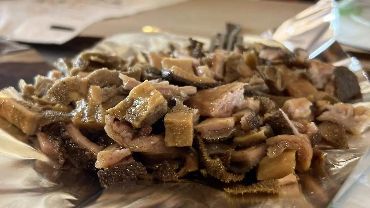 WhatsApp Image 2026-03-05 at 11.42.39 AM