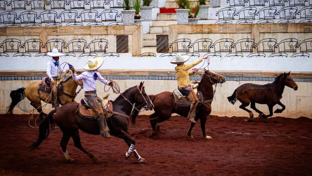 WhatsApp Image 2026-03-12 at 4.43.11 PM