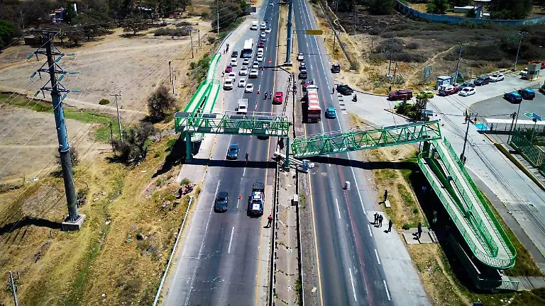 WhatsApp Image 2026-03-26 at 12.03.24 PM