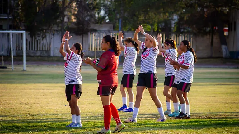 WhatsApp Image 2026-03-28 at 7.50.47 PM