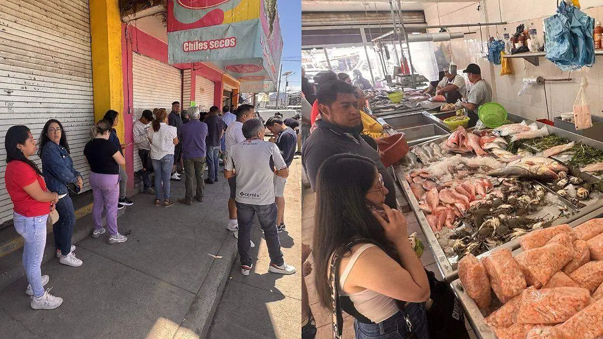 WhatsApp Image 2026-04-03 at 2.51.51 PM