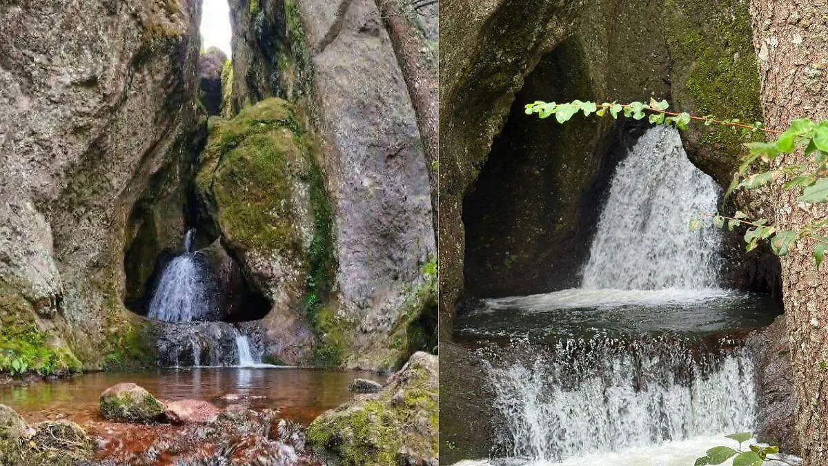 WhatsApp Image 2026-04-07 at 3.43.17 PM