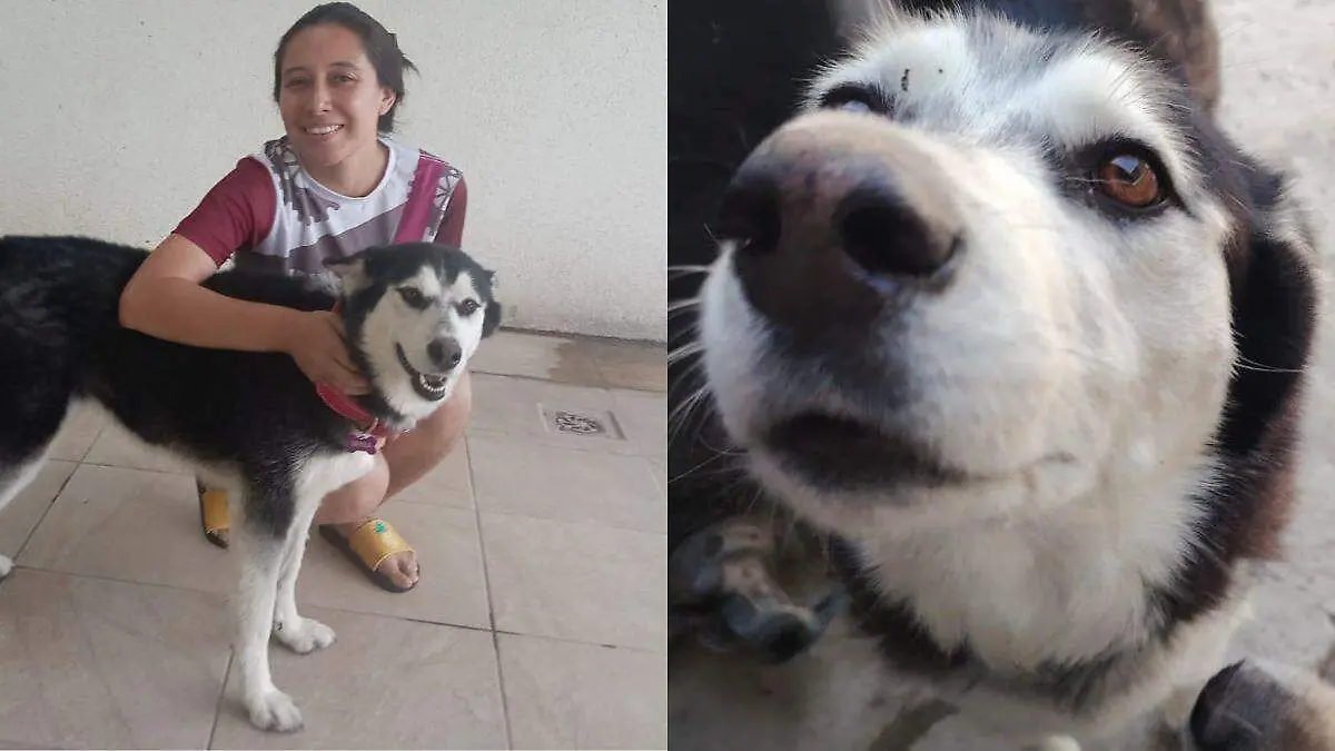 Diseño sin título