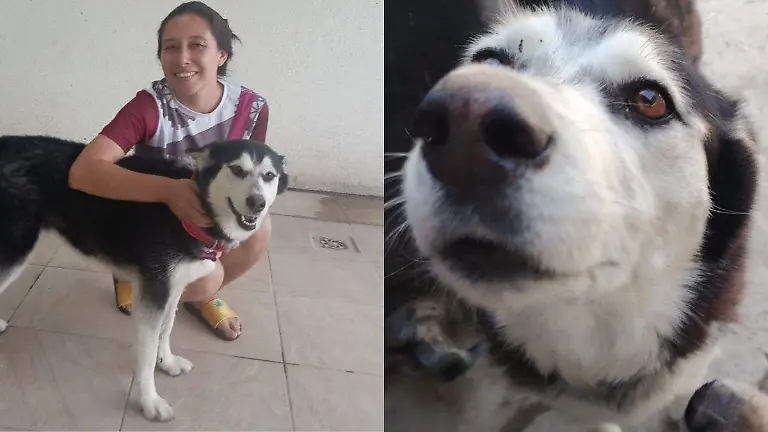 Diseño sin título