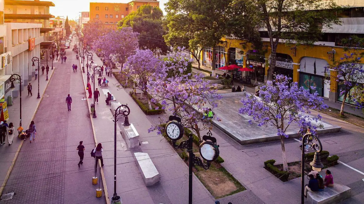 491528805_1300112578142035_7750407745845263025_n