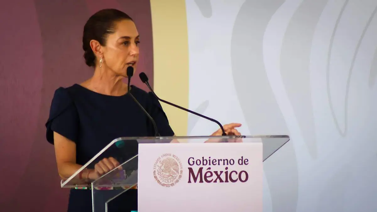 WhatsApp Image 2026-04-25 at 3.44.33 PM (1)