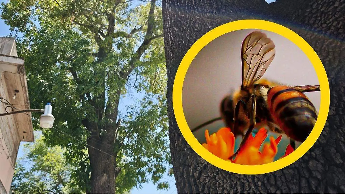 1000297778