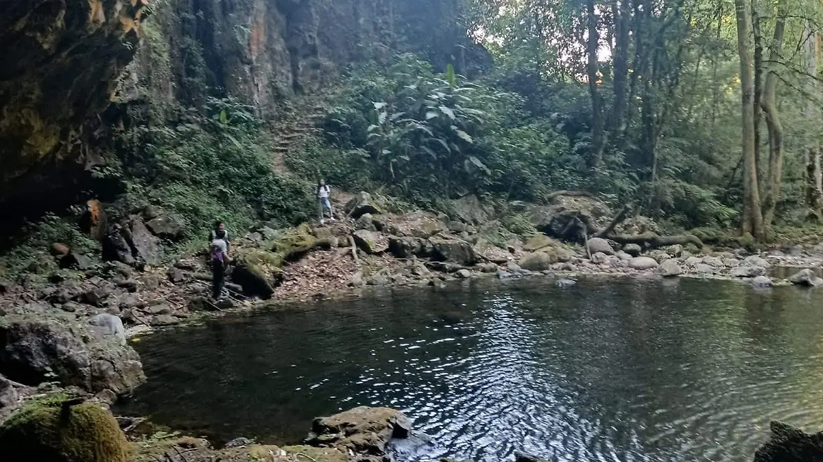AGUA VIVA 3