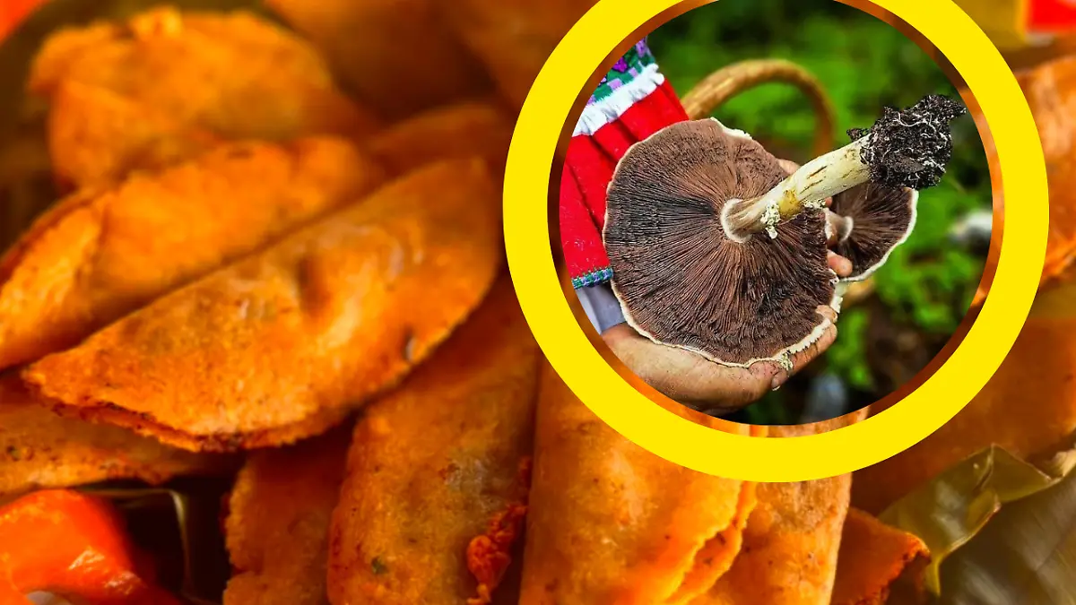 hongos acaxochitlán