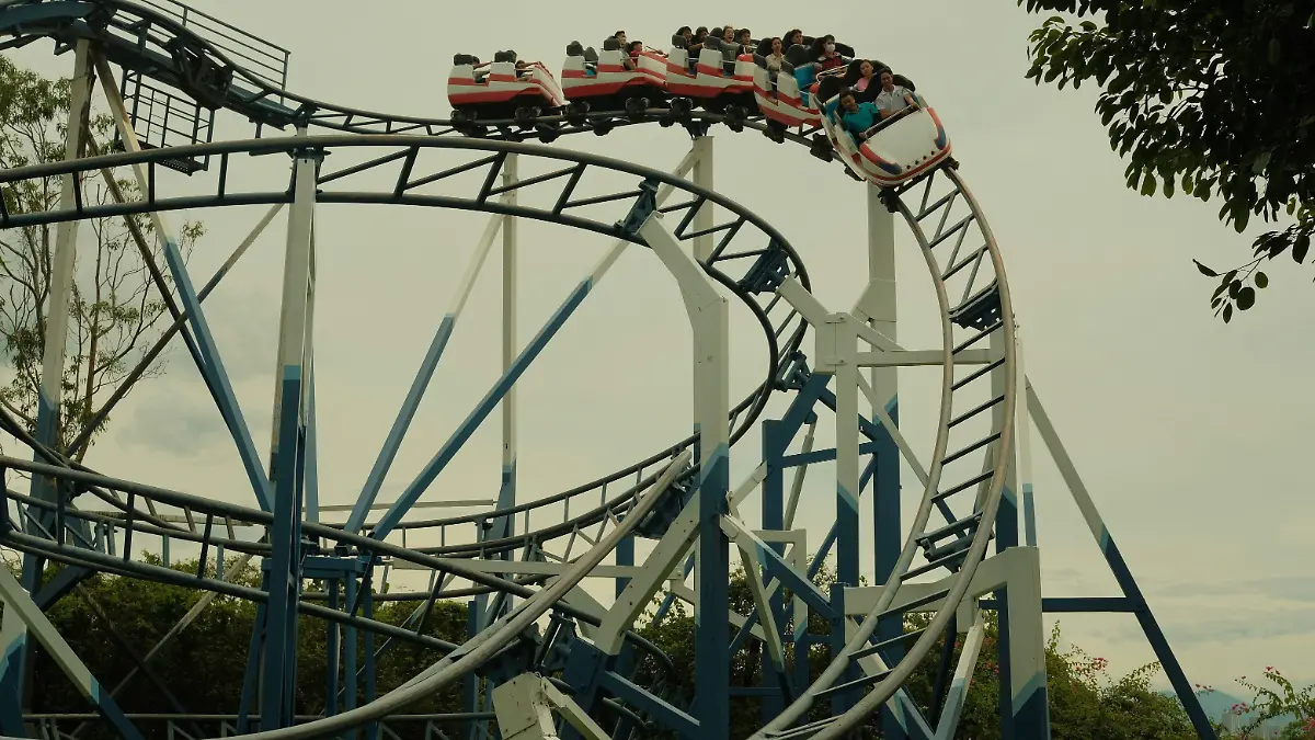 pexels-vi-t-anh-nguy-n-2150409023-31466062