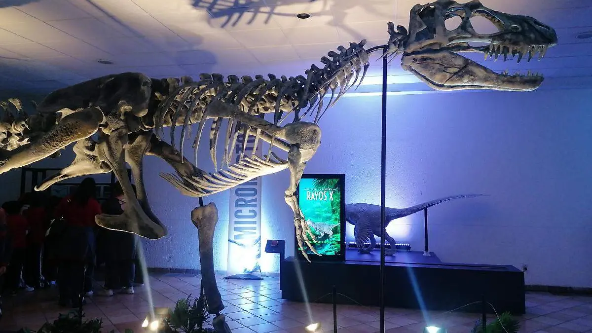 Dinosaurios