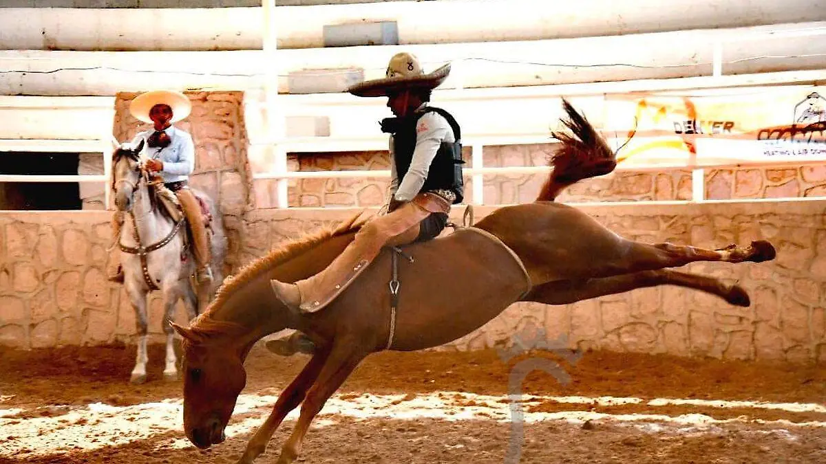 deportes251