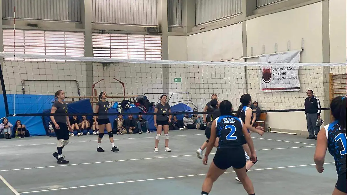 Partido de volibol