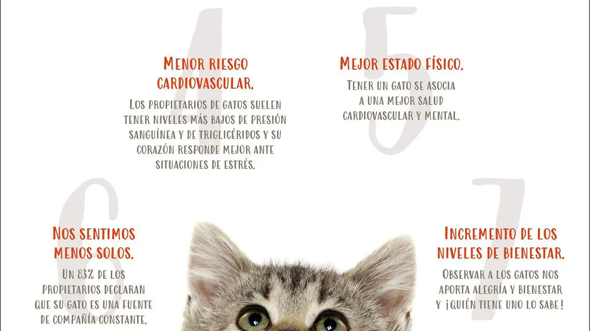 Infografía 7 beneficios de tener un gato