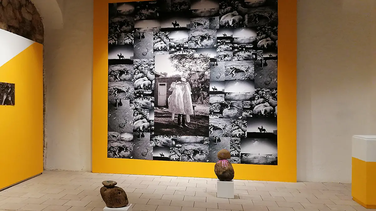 Tierra lamentable dos