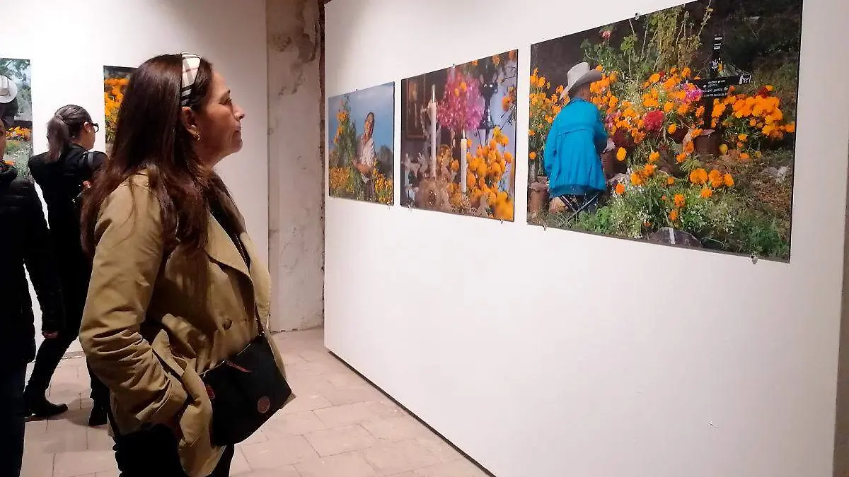 cultura2101
