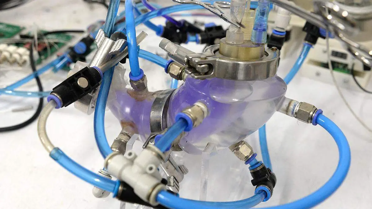 ciencia21015