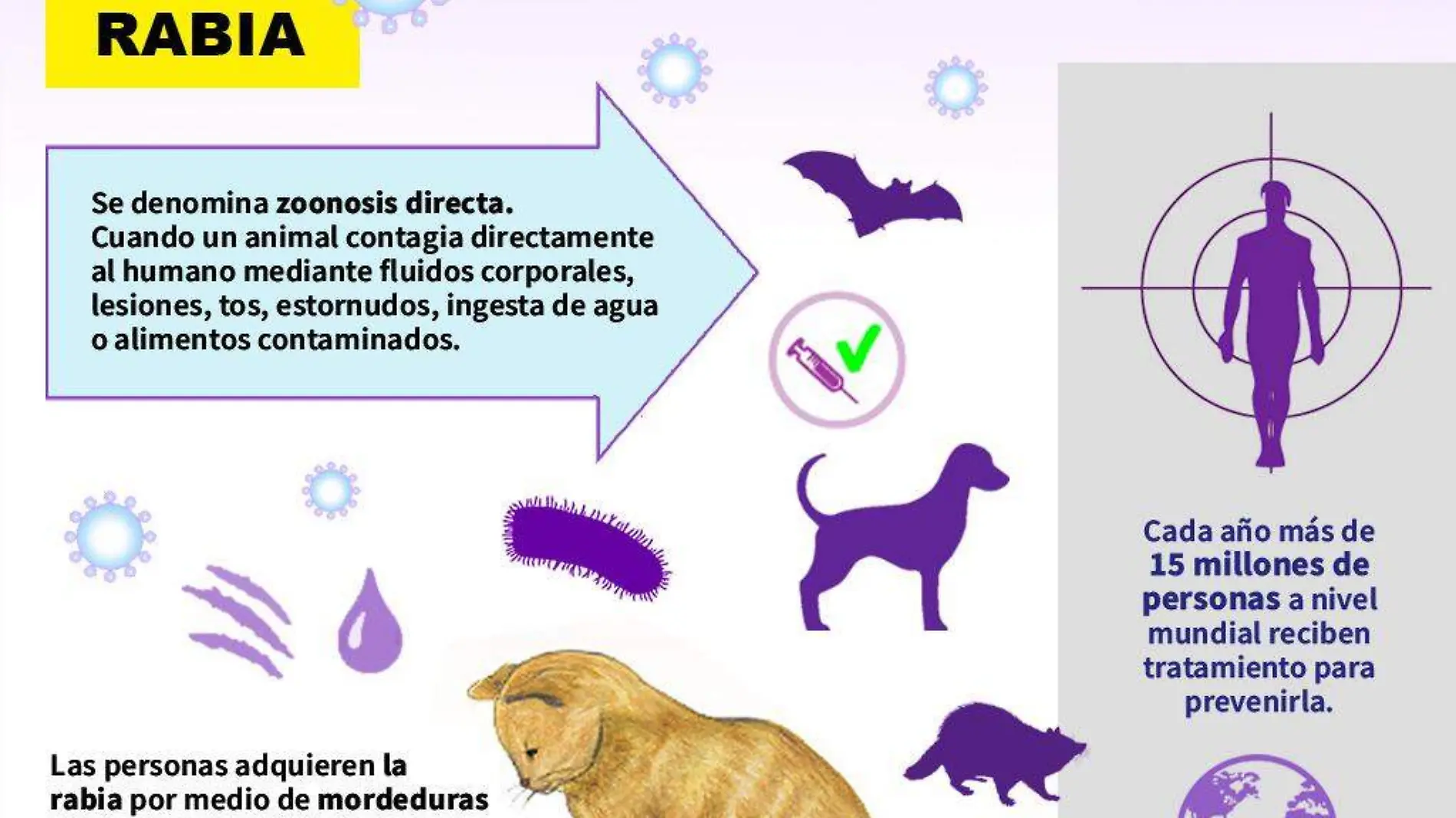 Infografía Zoonosis