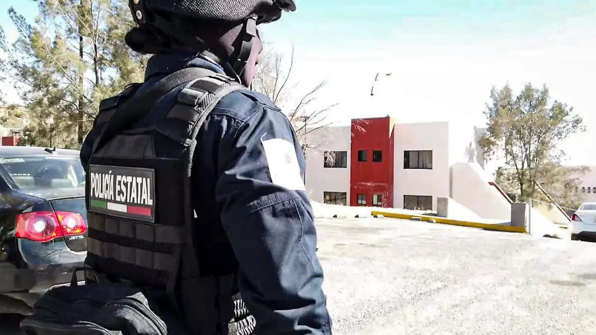 Elemento de la policía estatal