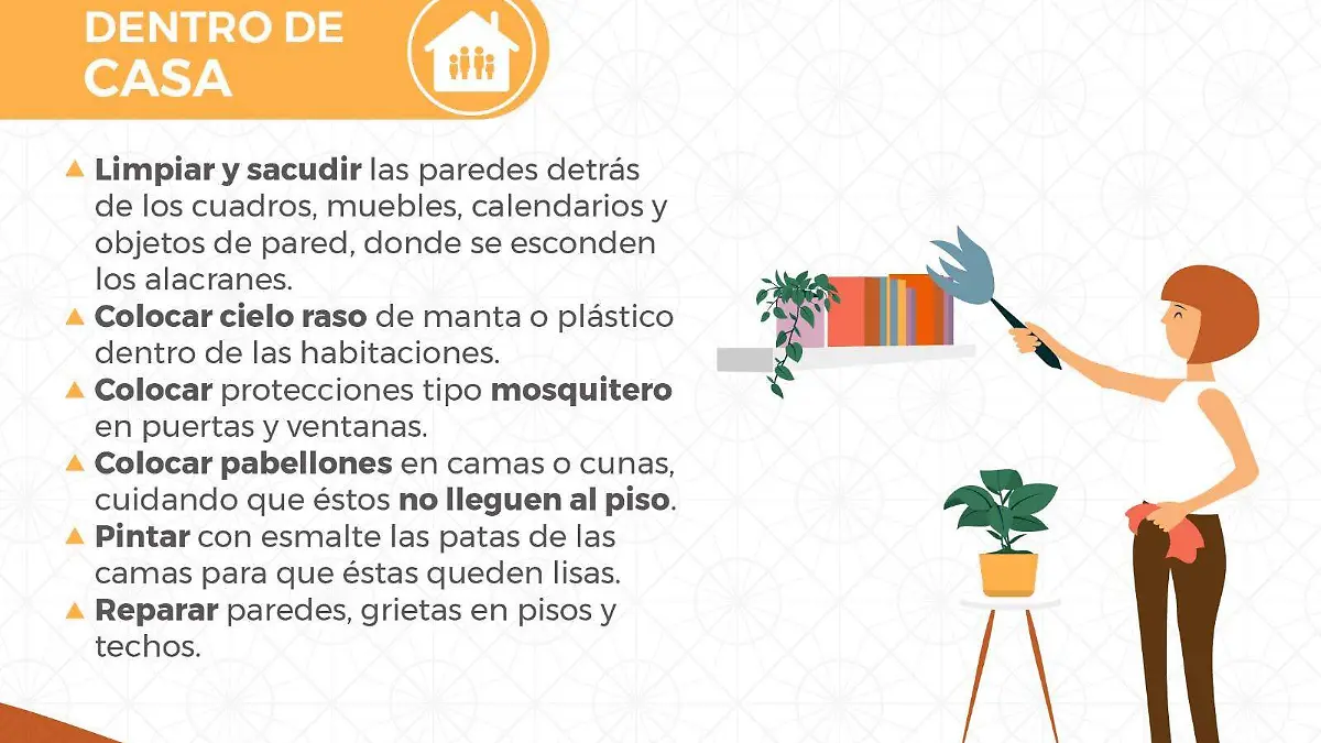 Infografía prevención picadura de alacrán