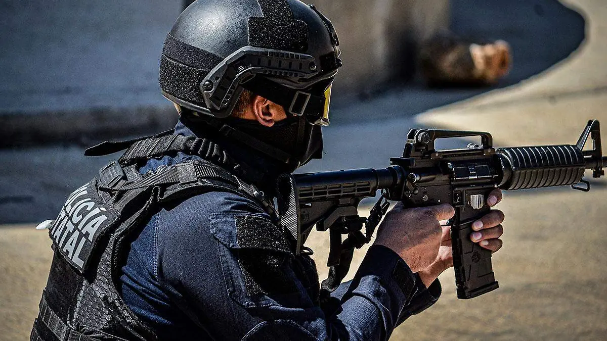 elemento-de-la-policía-estatal