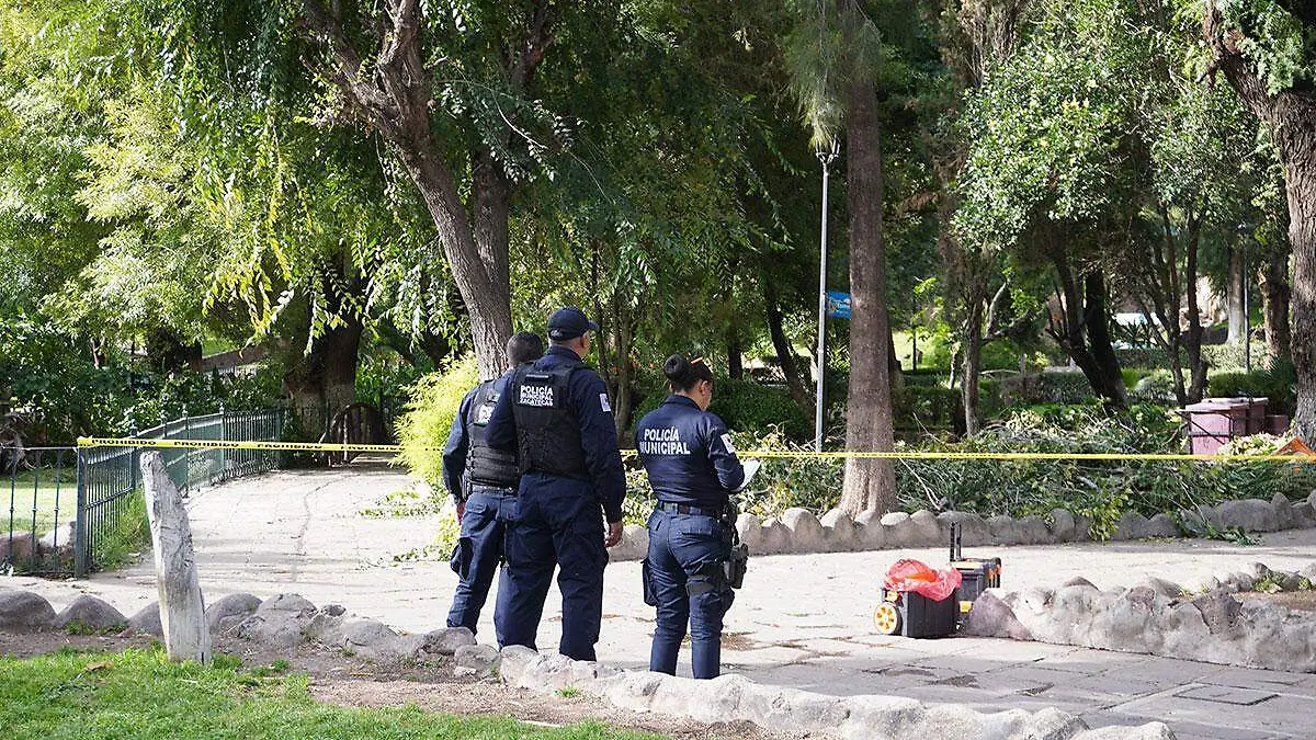 Agresión