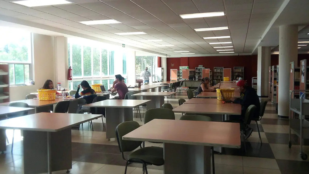 literatura2019111101