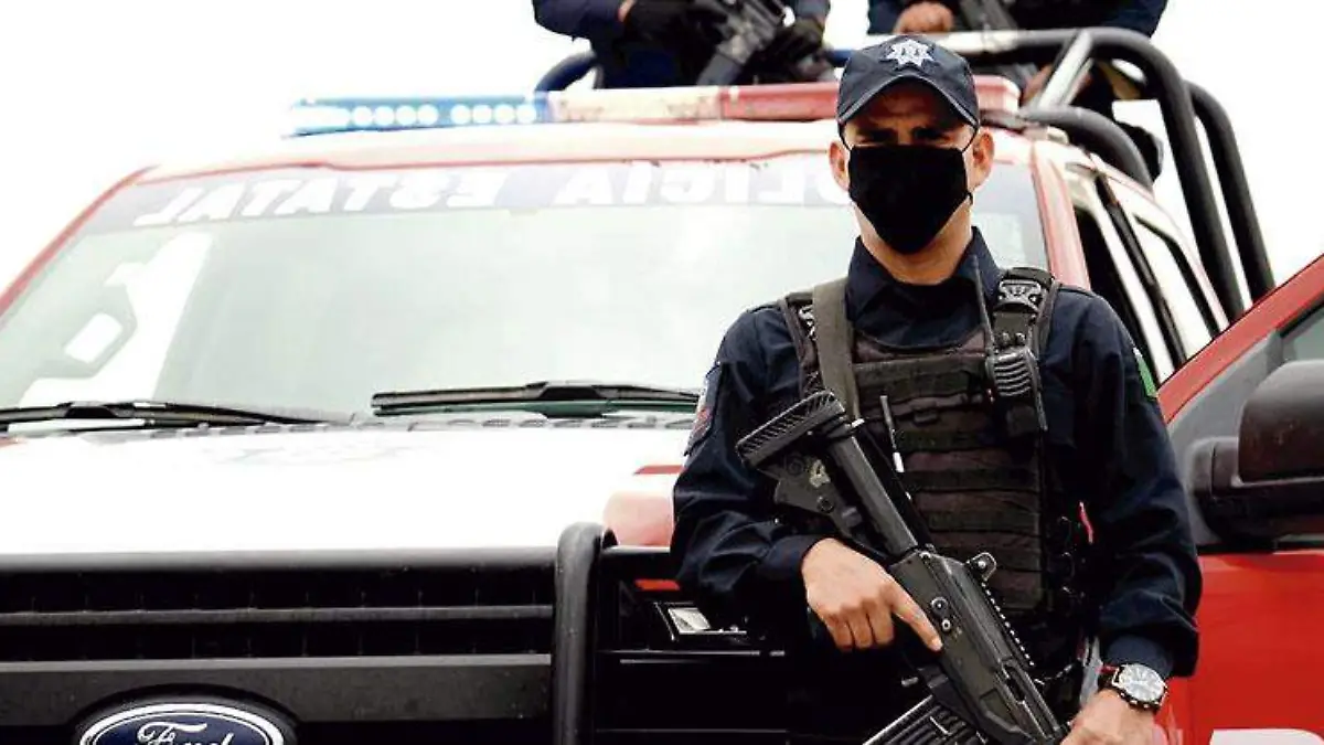 ElementodelaPolicíaEstatalypatrulla