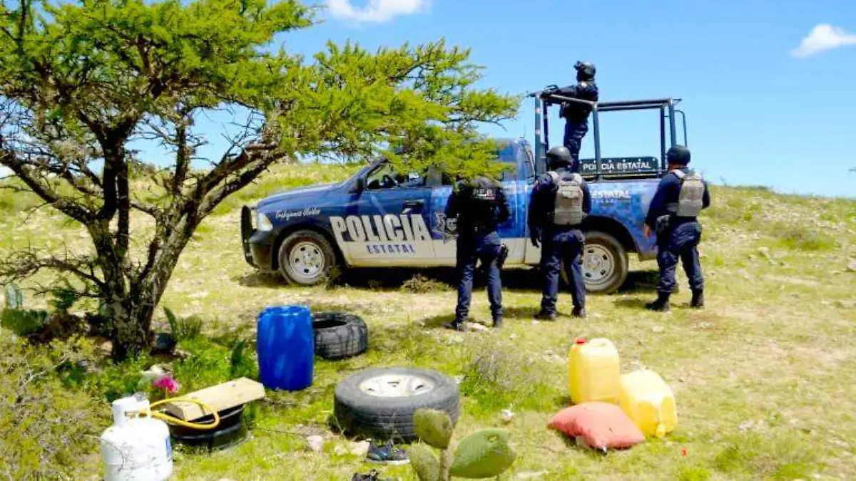 Elementos de la Policía Estatal descubrieron un narcocampamento en el munciipio de Fresnillo, Zacatecas