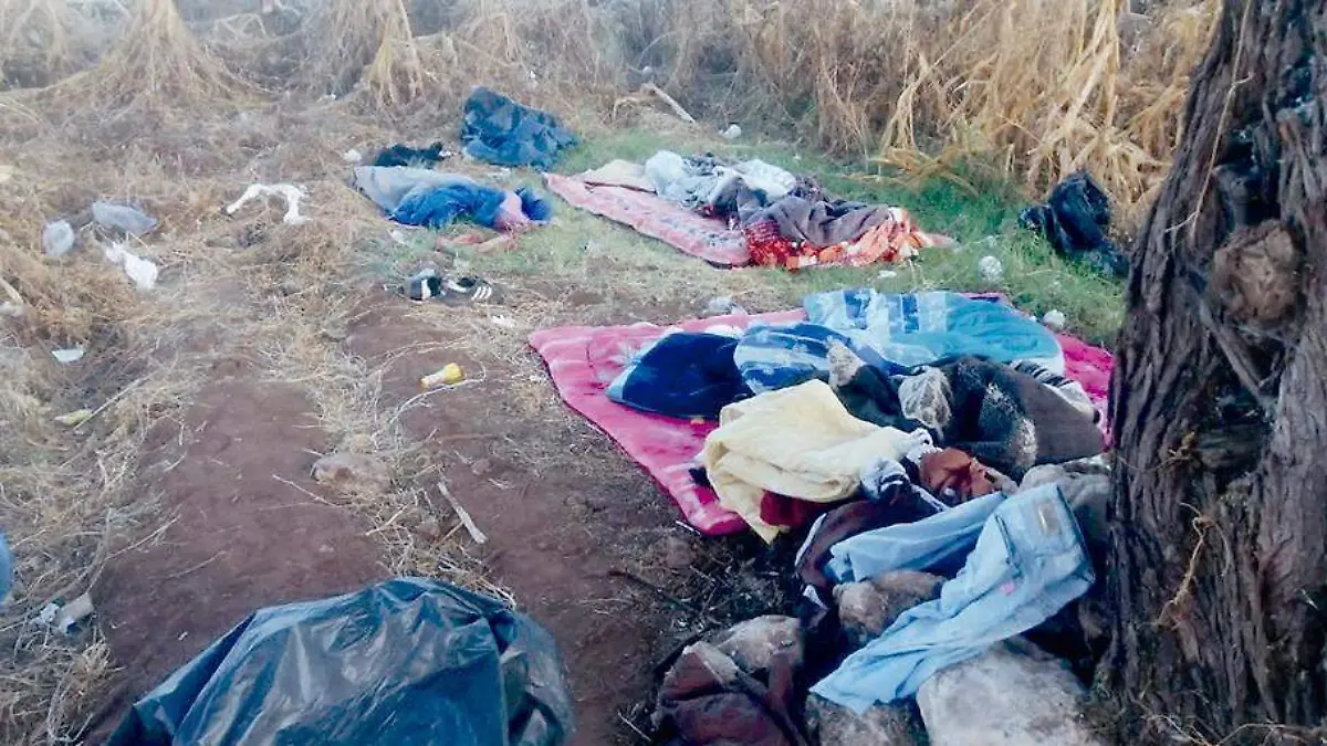 Narcocampamento destruido en Estación San José, Fresnillo